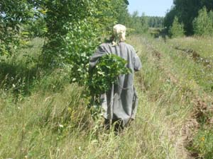Банные веники - Заготовка