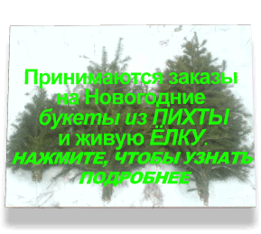 купить новогодние букеты из пихты и живую елку
