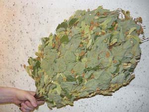 Веники для бани липовые купить