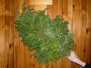 Веники для бани можжевеловые купить